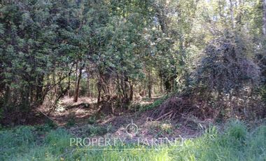Hermoso terreno urbano de 10.000 mts2 Gorbea