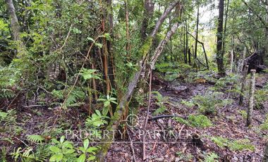 Hermoso terreno urbano de 10.000 mts2 Gorbea