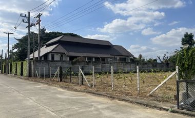 Land for sale in Ton Pao, Chiang Mai
