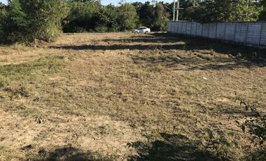 Land for sale in Ton Pao, Chiang Mai