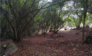 Condominio EBEN-EZER