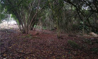 Condominio EBEN-EZER