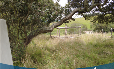 Vendo Lote de 1.500 mts en Tabio Rio Frio Oriental