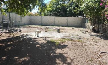 TERRENO EN RENTA, BARDEADO. CARMEN, CAMPECHE.