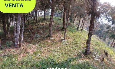 Lote en venta- Caldas- La Salada