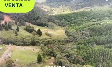 Lote en venta- Caldas- La Salada