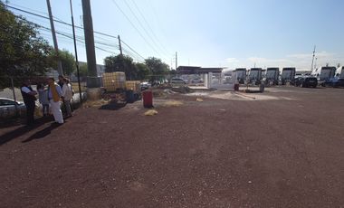 Renta de Terreno - Ceylán - 4,000 m2