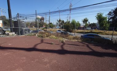 Renta de Terreno - Ceylán - 4,000 m2