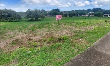 Se vende terreno en zona comercial Chitre.
