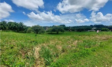 Se vende terreno en zona comercial Chitre.