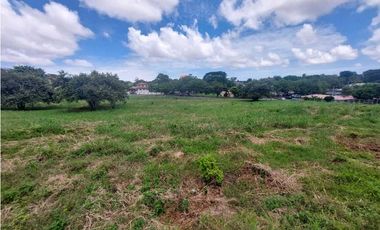 Se vende terreno en zona comercial Chitre.
