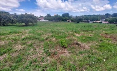 Se vende terreno en zona comercial Chitre.