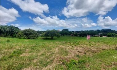 Se vende terreno en zona comercial Chitre.