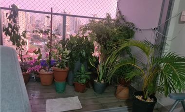 SE ALQUILA APARTAMENTO EN VIA ESPAÑA