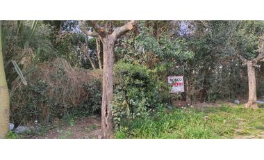 Venta terreno en paso del rey