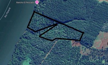VENDO CHACRA EN COSTA RIO PARANA GARUHAPE MISIONES