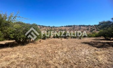 Agrícola en Venta en Loica Bajo