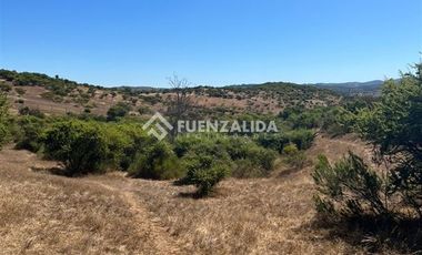 Agrícola en Venta en Loica Bajo