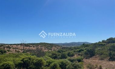 Agrícola en Venta en Loica Bajo