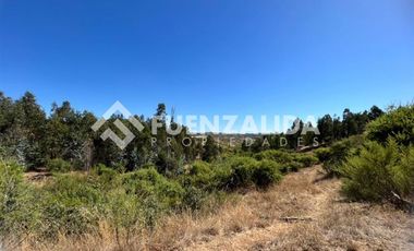 Agrícola en Venta en Loica Bajo