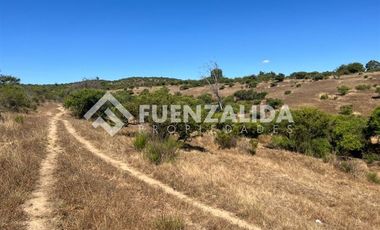 Parcela en Venta en Loica Bajo