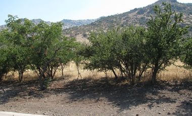 Sitio en Venta en Las Brisas