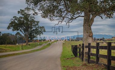 Terreno Construccion  en Venta en A 2 Km de Puerto Varas