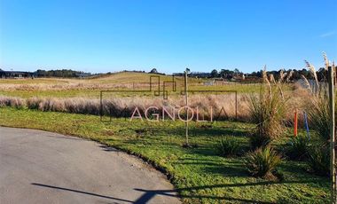 Terreno Construccion  en Venta en A 2 Km de Puerto Varas
