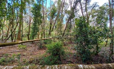 Parcela en Venta en Cumbres Los Volcanes