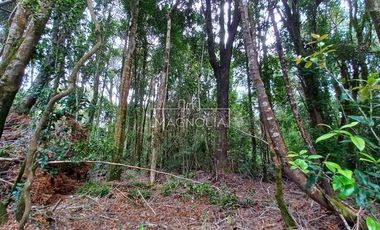Parcela en Venta en Cumbres Los Volcanes