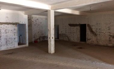 BODEGA TONINA