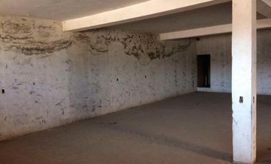 BODEGA TONINA