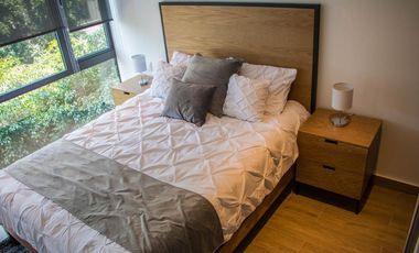 DEPARTAMENTO EN RENTA EN ROMA NORTE