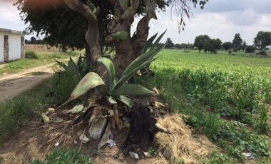 TERRENO EN VENTA EN TLAXCALA