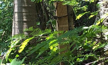 TERRENO EN VENTA EN ACAPULCO GUERRERO