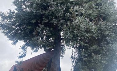 TERRENO EN VENTA EN MAGDALENA CONTRERAS