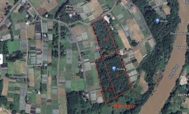 Land for sale in Rim Tai, Chiang Mai