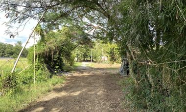 Land for sale in Rim Tai, Chiang Mai