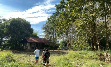 Land for sale in Rim Tai, Chiang Mai