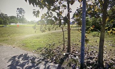 Land for sale in San Sai Luang, Chiang Mai