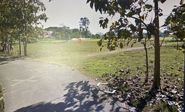Land for sale in San Sai Luang, Chiang Mai