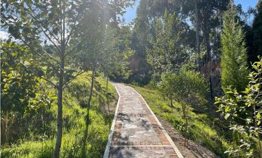 LOTE VISTA LAGO SOCHAGOTA CONJUNTO CAMP. PAIPA - BOYACA