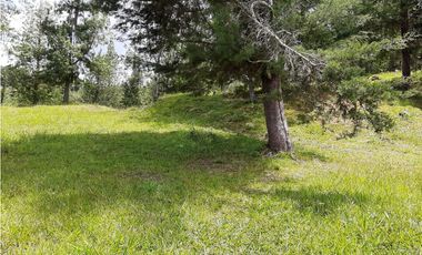 Venta Lote Independiente via Don Diego la Ceja