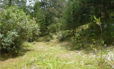 Venta Lote Independiente via Don Diego la Ceja