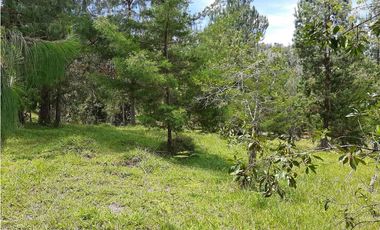 Venta Lote Independiente via Don Diego la Ceja