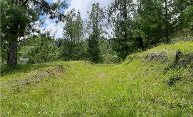 Venta Lote Independiente via Don Diego la Ceja