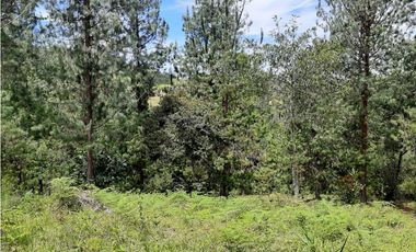 Venta Lote Independiente via Don Diego la Ceja