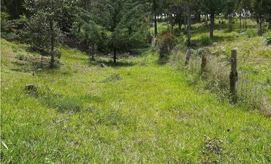 Venta Lote Independiente via Don Diego la Ceja