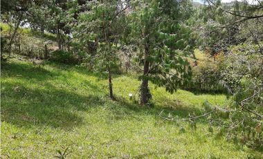 Venta Lote Independiente via Don Diego la Ceja