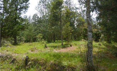 Venta Lote Independiente via Don Diego la Ceja